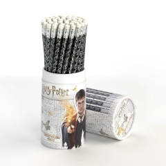 Harry Potter Deathly Hallows Pencil HPPCL054 (minimum 50)