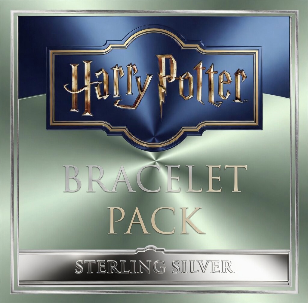 Harry Potter Sterling Silver Bracelet Starter Pack